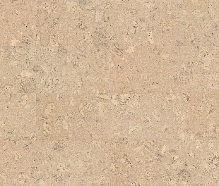 Клеевые пробковые напольные покрытия Wicanders Cork Pure P902003 Personality Timide AJ3J002, упаковка 1.80 м